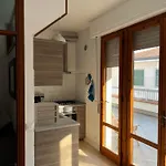 Istria House Close To The Tower Apartman Pisa