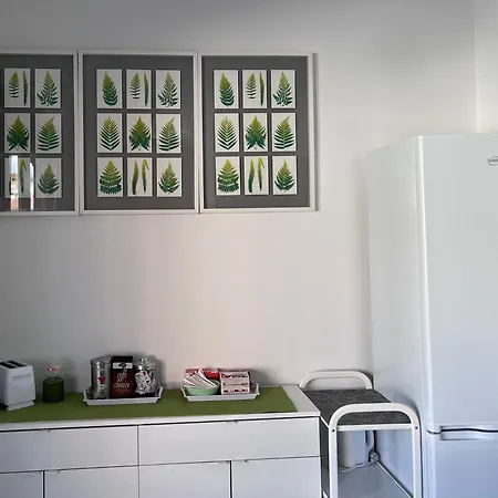 Apartman Istria House Close To The Tower